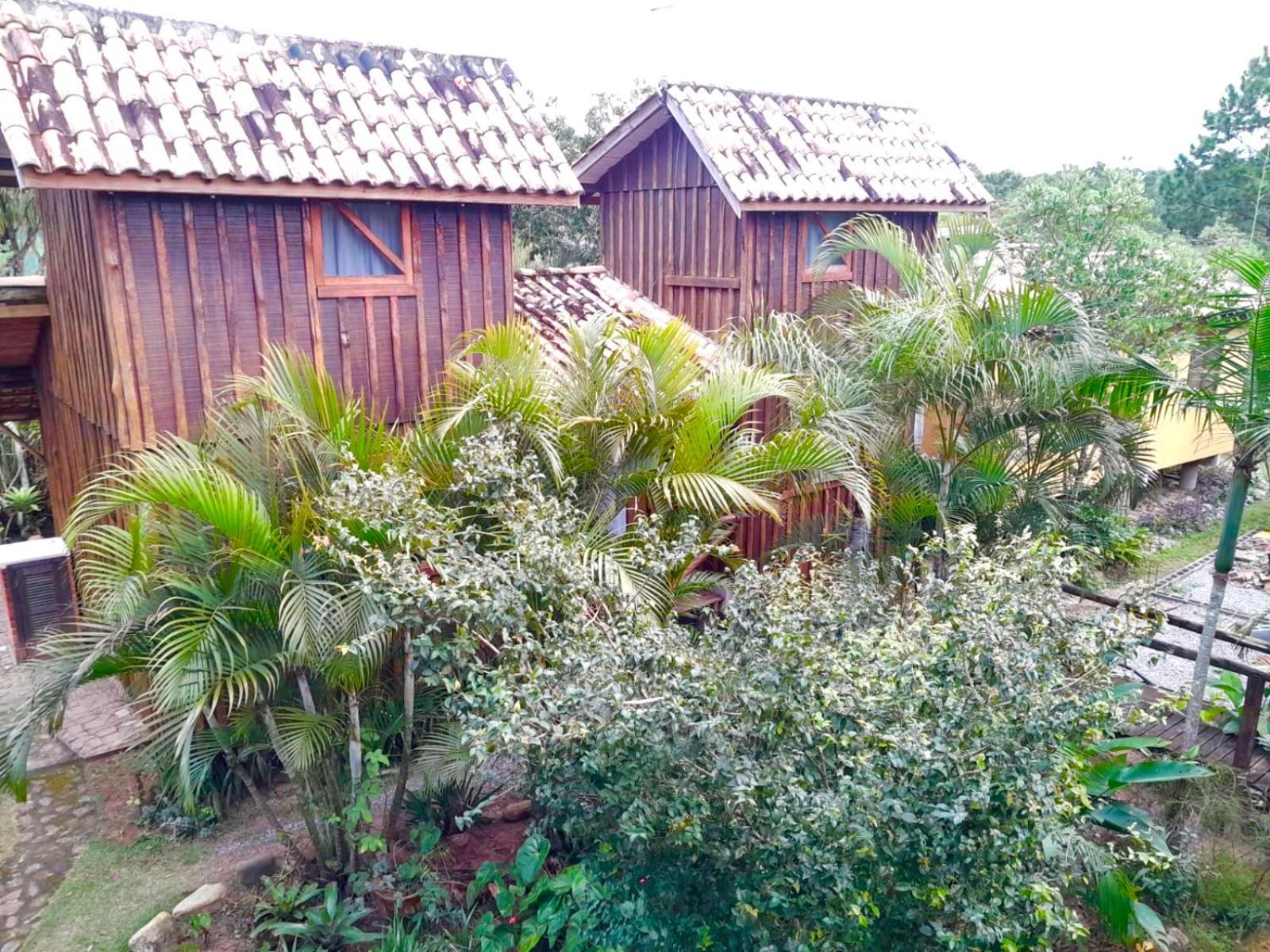 Recanto Das Bromelias Chales Guarda do Embaú 外观 照片